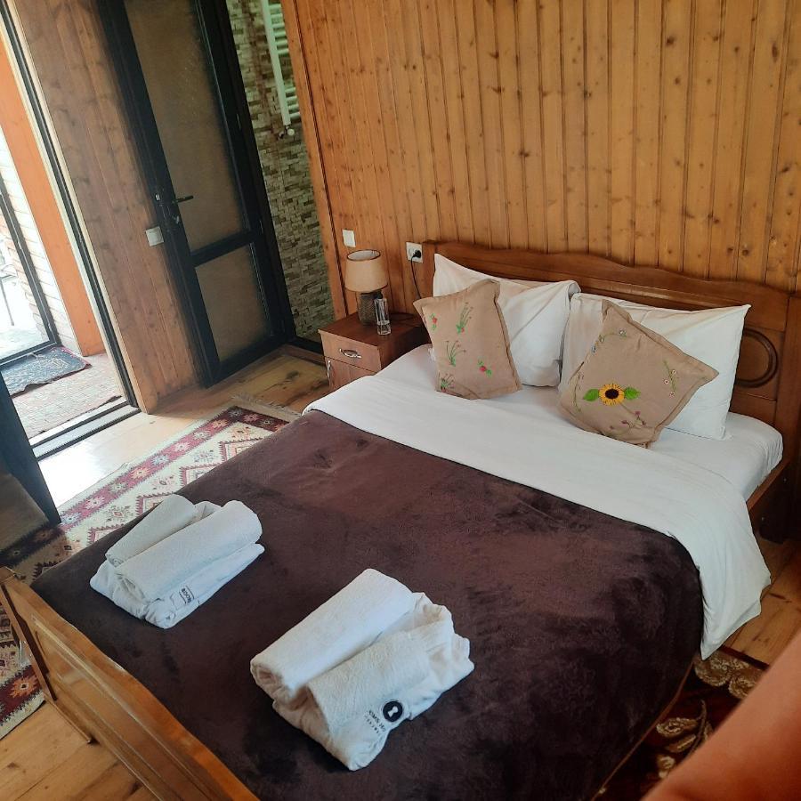 Hotel Bana à Kazbegi Extérieur photo